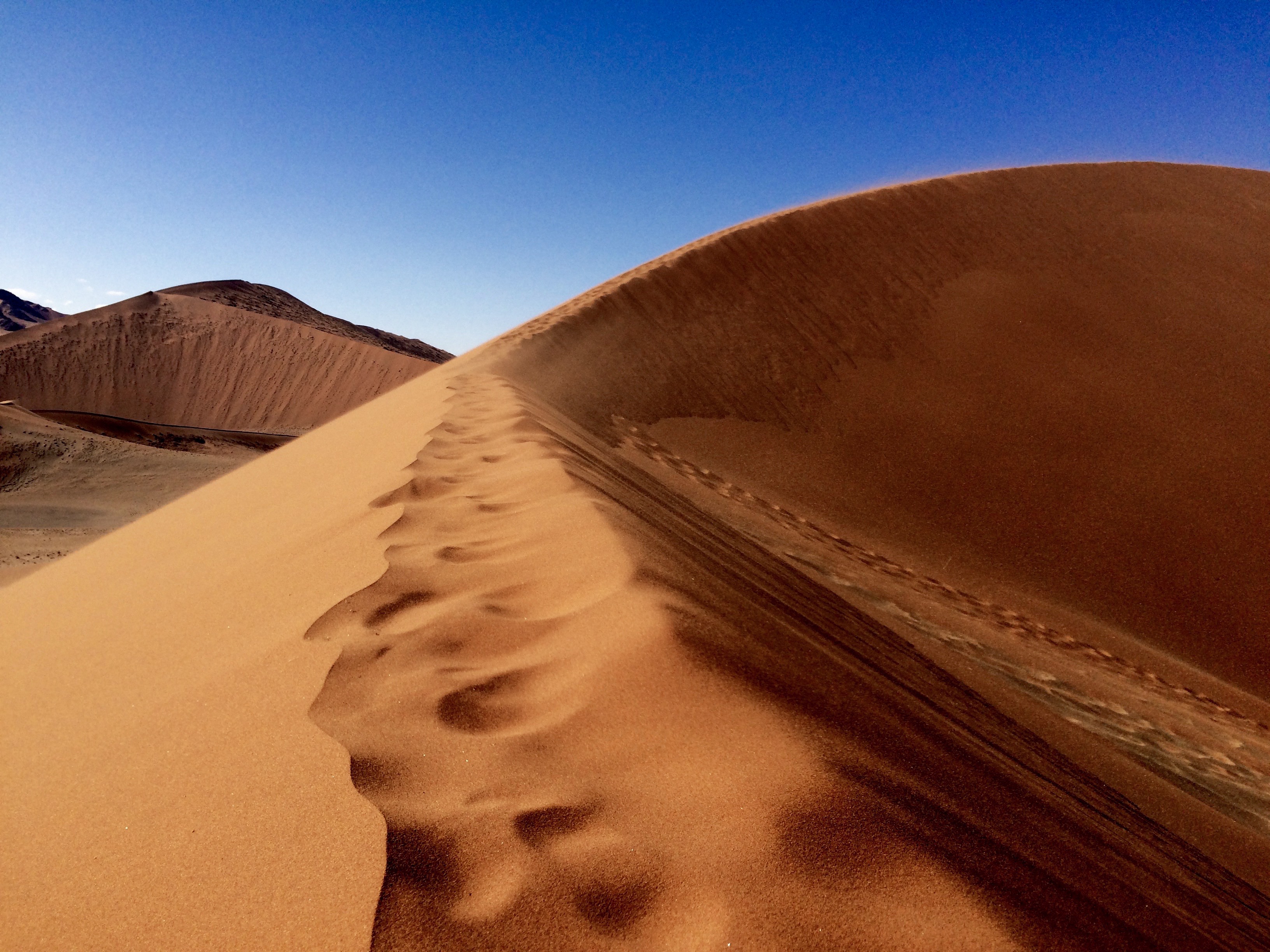 The Unexpected: Namibia