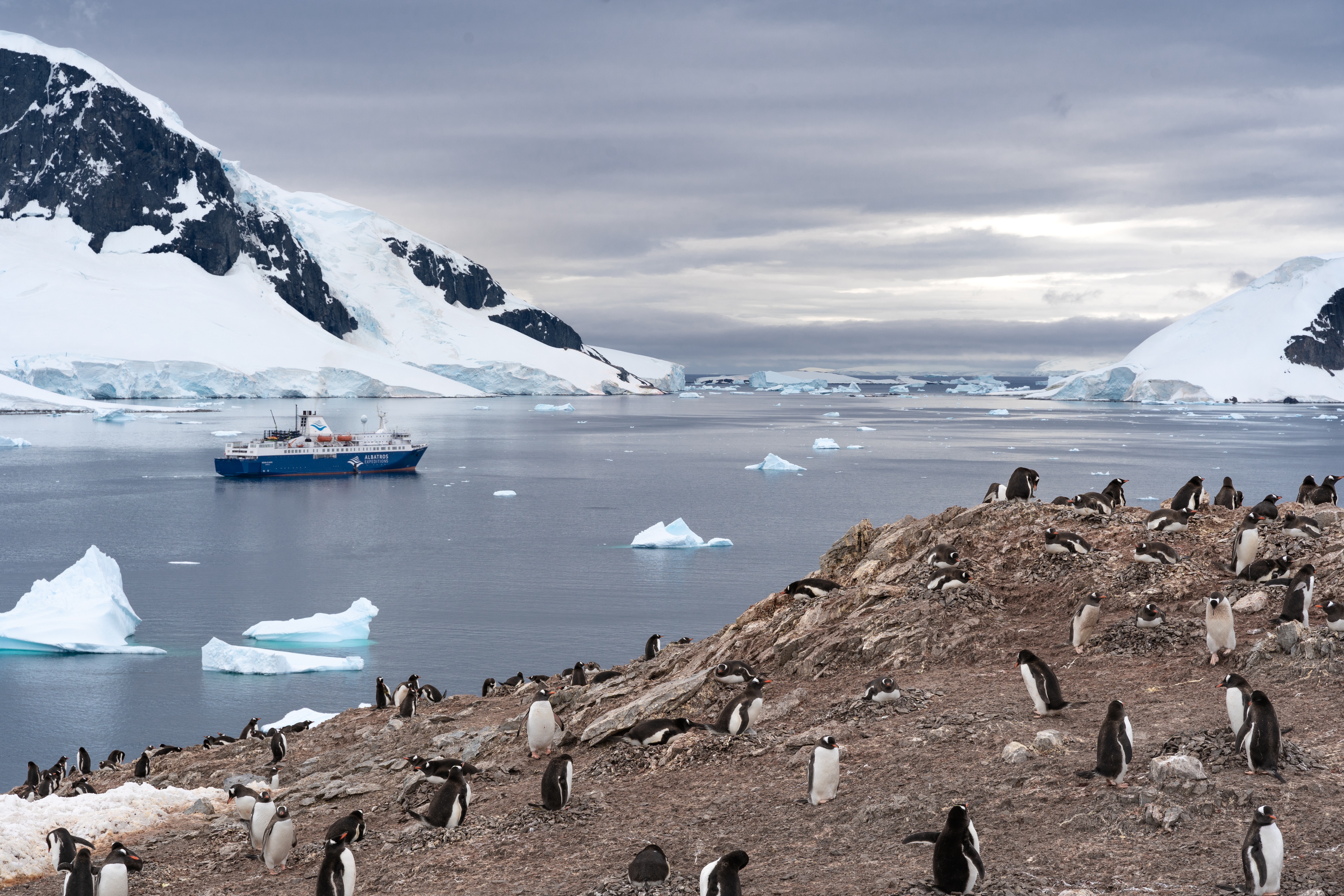 Falklands, South Georgia, and Antarctica: the Seventh Continent