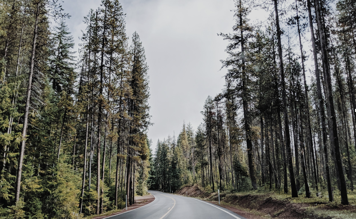 Tips from driving 1,600 miles in the PNW