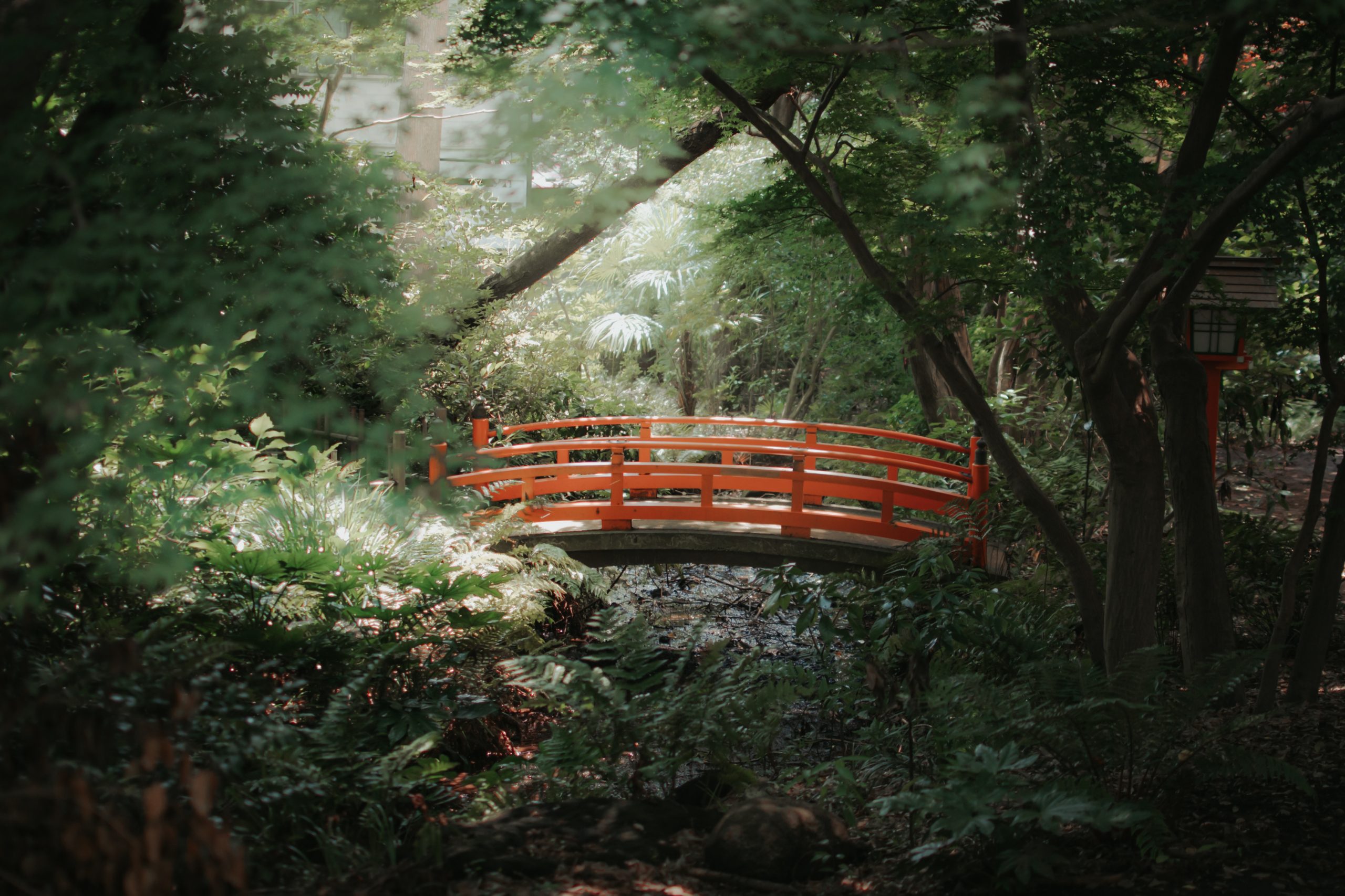 6 Pointers for Taking Magical Photos of Nature