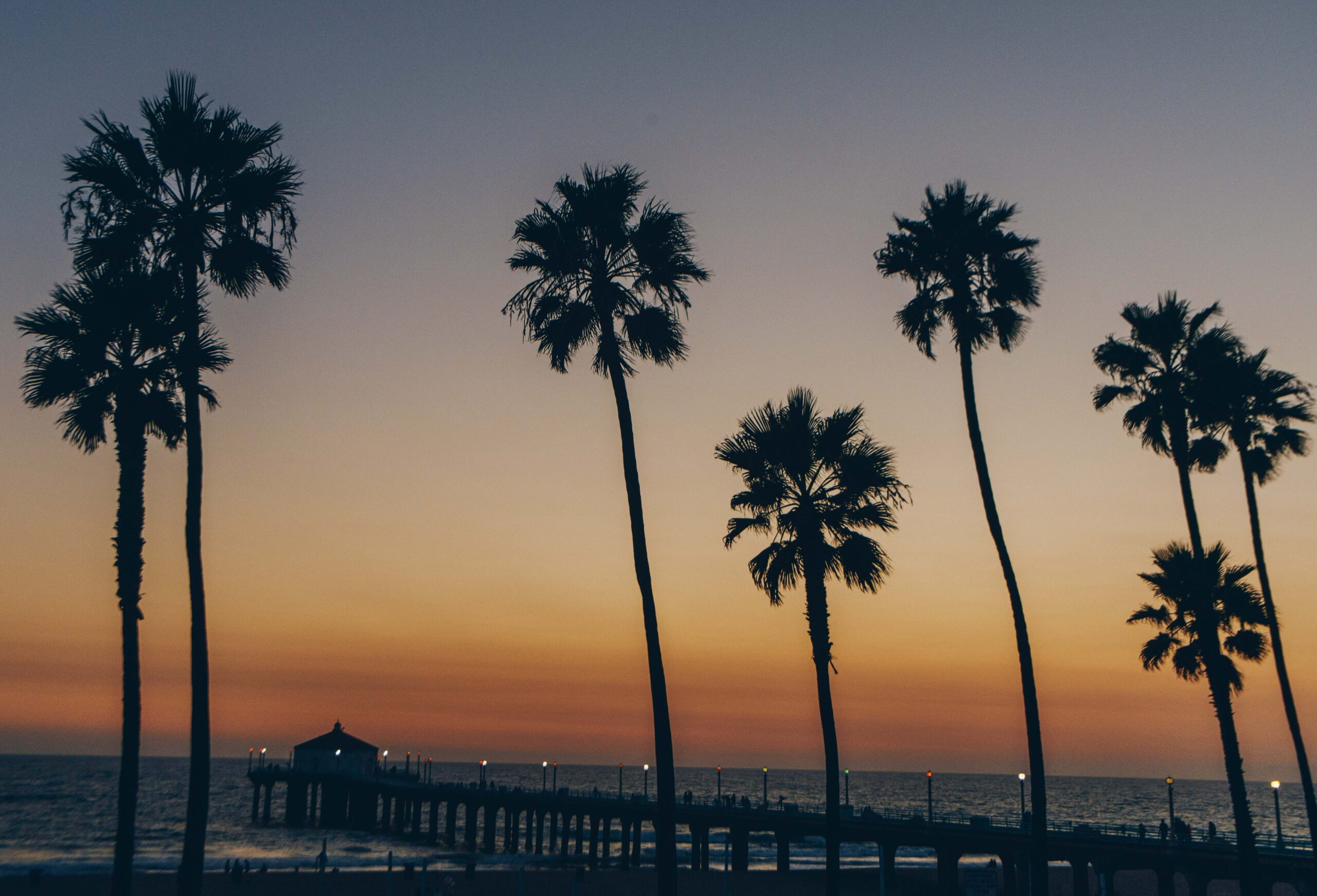 4 Travel Guides for an Epic Trip to California