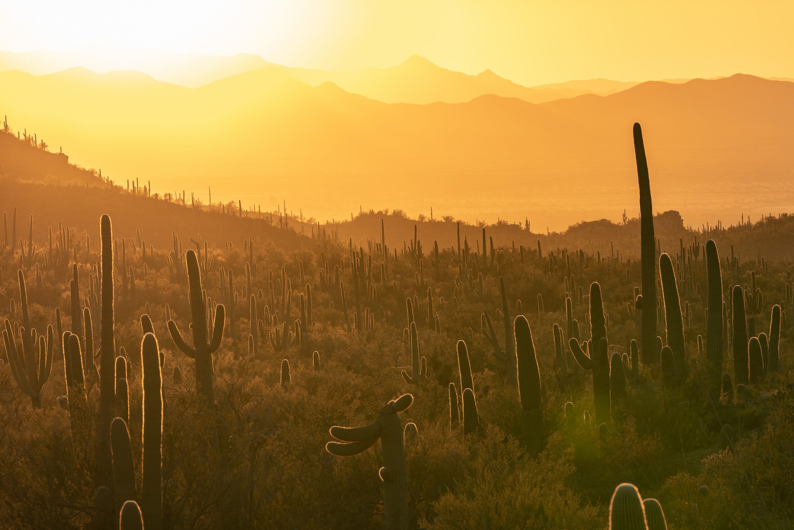 Phoenix, Arizona: So Much Fun in the Valley of the Sun