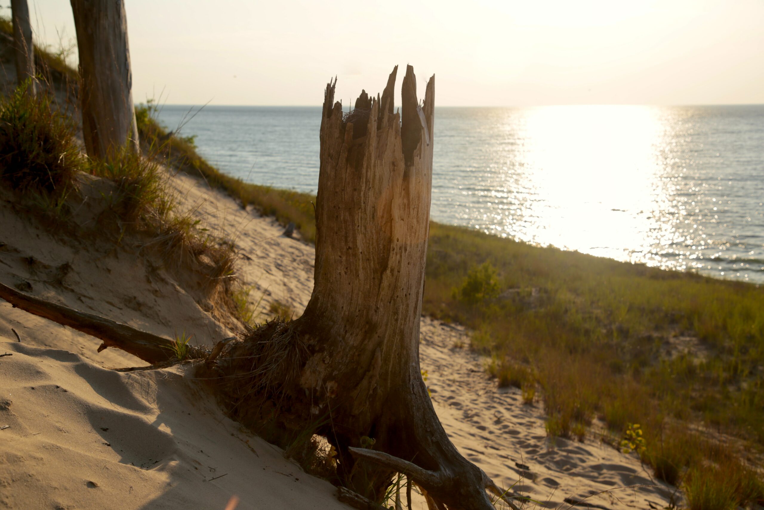 5 Amazing Hikes Along Sleeping Bear Dunes