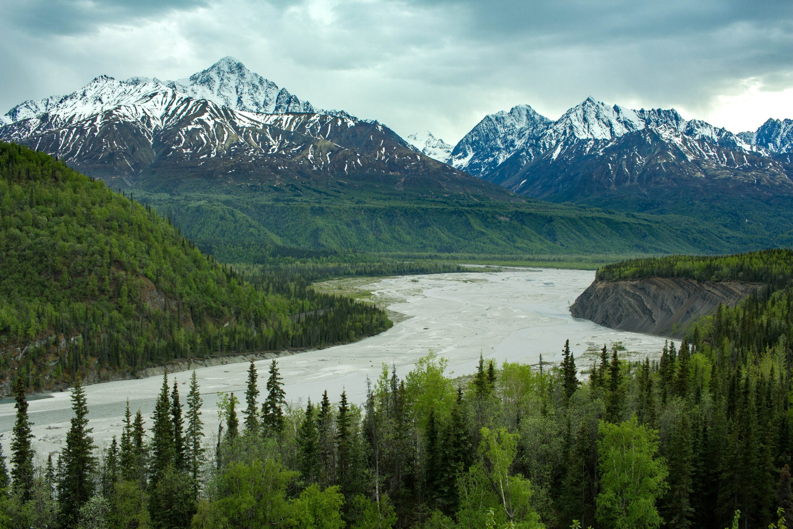 Exploring Southeast Alaska with a Wild Bum Guide Architect