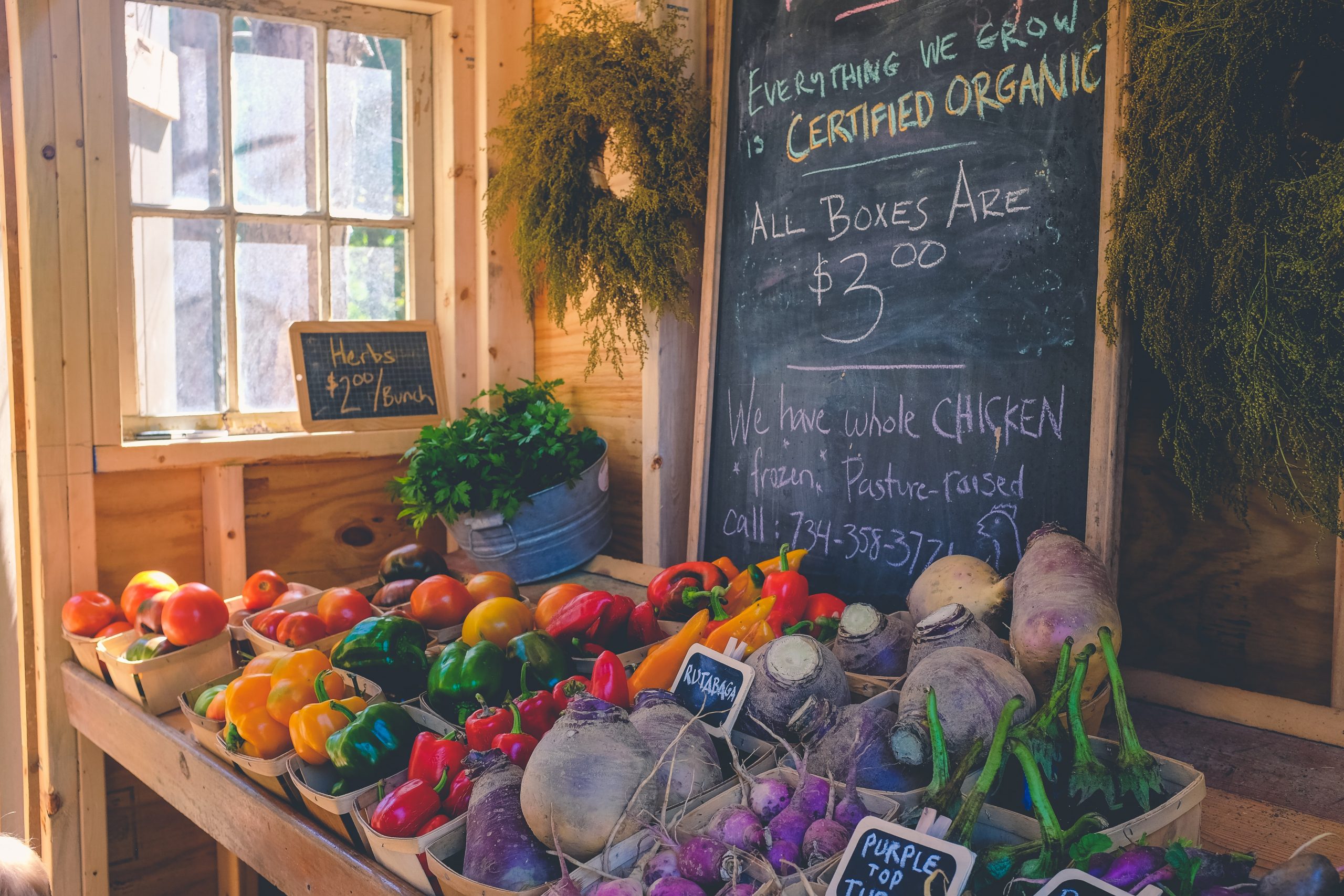 Why Choose Local Produce When Traveling