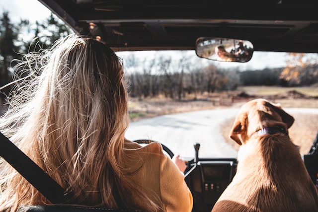 Young Road-Trippers: Tips for Taking the Road Trip of Your Dreams